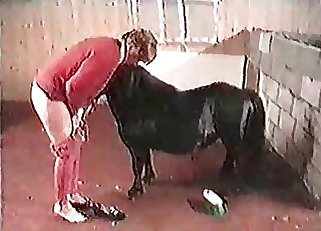 Hot mature chick in zoo sex action