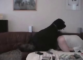 Horny black mutt is drilling the holes a slutty woman