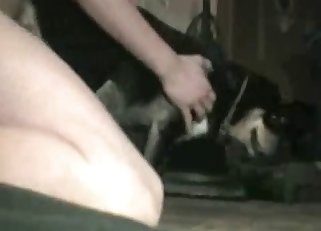 Impressive fuck-fest with an animal