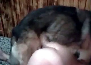 Hardcore fucking with a shepherd