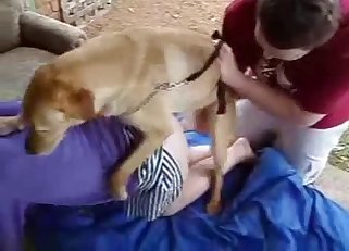 Unbelievable bestiality action