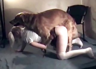 Zoo fuck video made in a close-up manner