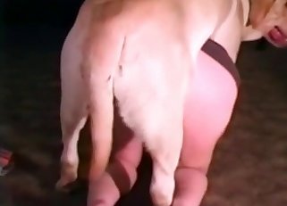 Huge doggy is penetrating a dirty zoophile in the doggy style