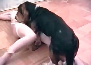 Mongrel enjoying skinny babe s tight muff