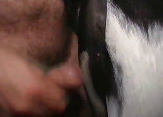 Fucking my pony in doggy style pose