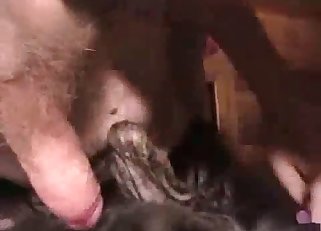 Hairy dick fills out tight animal ass